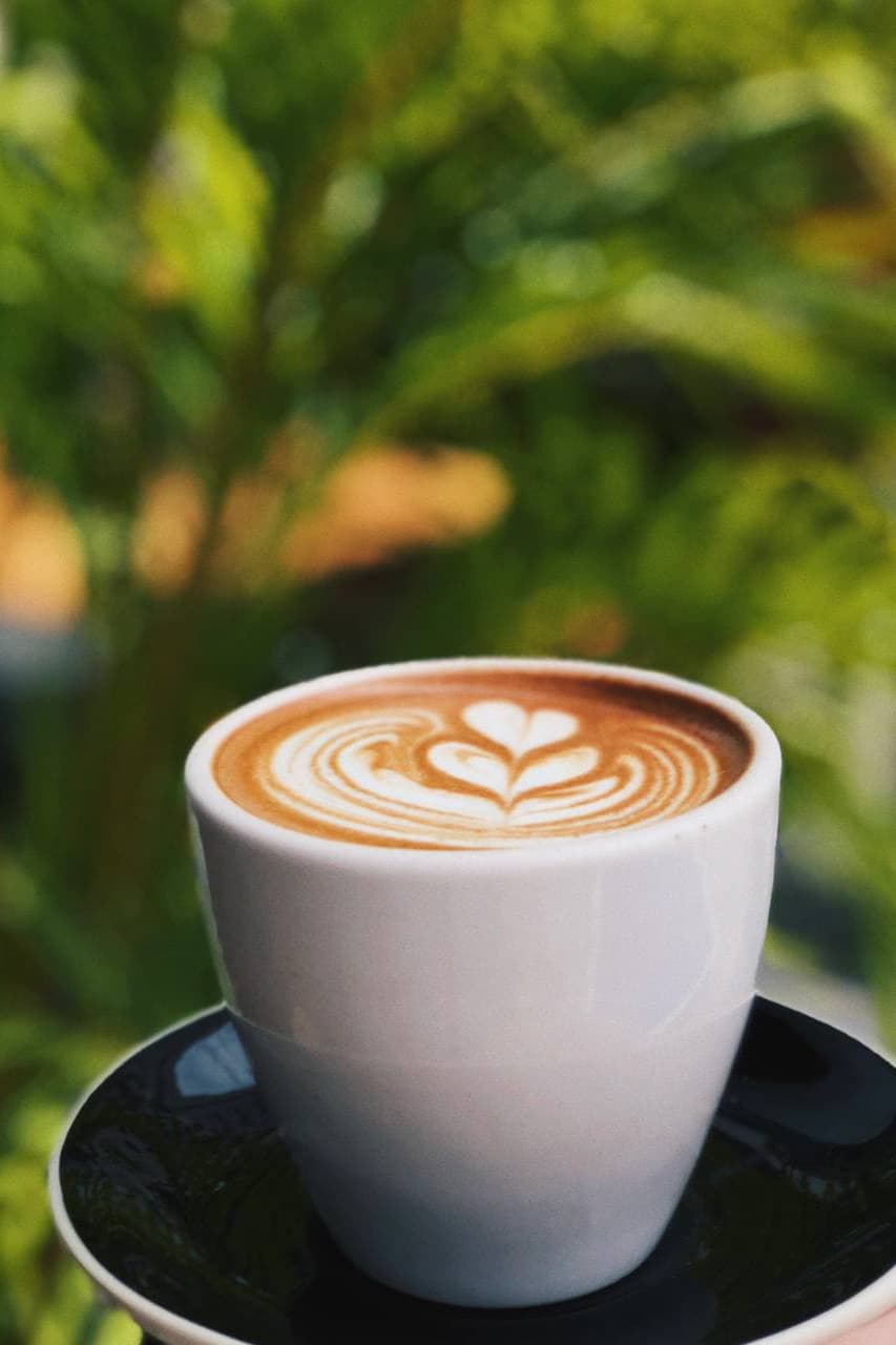 Cacao (8 oz)